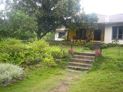 the front garden area of the house