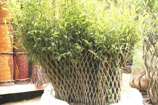 Alastair Heseltine draws inspiration from nature and comes up with some stunning functional art