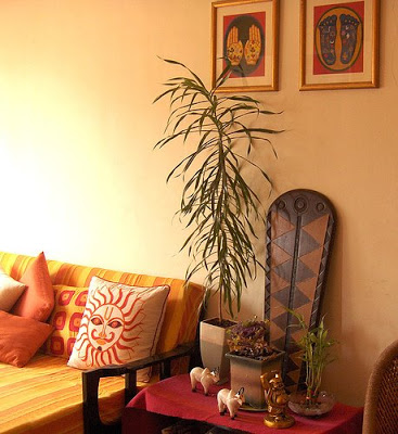 Decorated the room with the hanging wall frame or indian painting