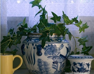 Blue pottery photo by Sarah-nussbaumer