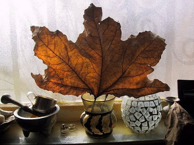 leaf home decoration on the window sill