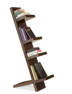 Pisa books shelf