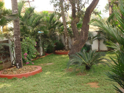 The garden as viewed from the dining window