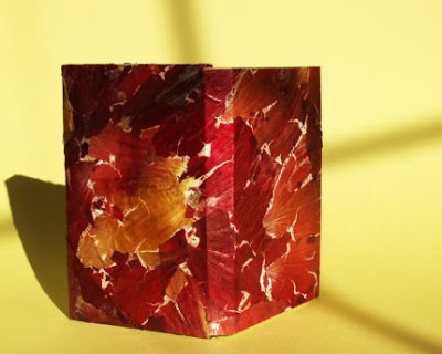 use onion skins on sheet of paper to create a gift box or card