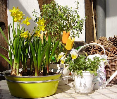 spring on Nicola's terrace garden | Vintage lover | theKeybunch decor