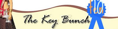 September 2008, launched of thekeybunch