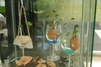 plant on wine glass
