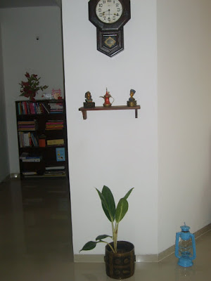the collection of vintage wall clock, green plant etc on the wall
