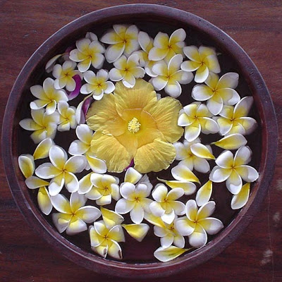 the beautiful flower bowl in bali