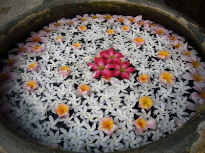 floating flowers in a bowl