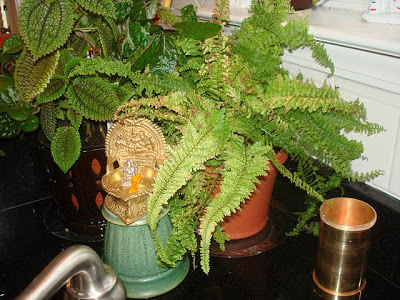 Kitchen sink corner