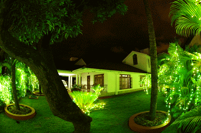 glimpses of family wedding