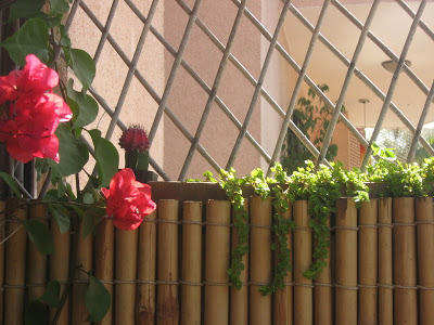 A beautiful balcony decor of Anu Gummaraju