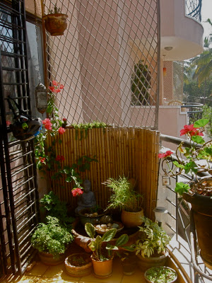 A beautiful balcony decor of Anu Gummaraju