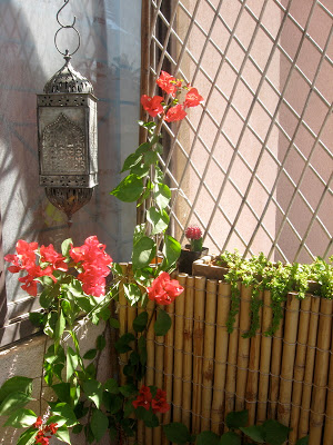 A beautiful balcony decor of Anu Gummaraju