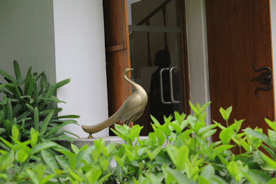 Sarangi entrance bird www.thekeybunch.com