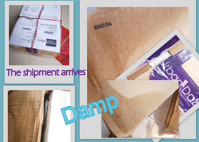 damp shipment form urbandazzle collage