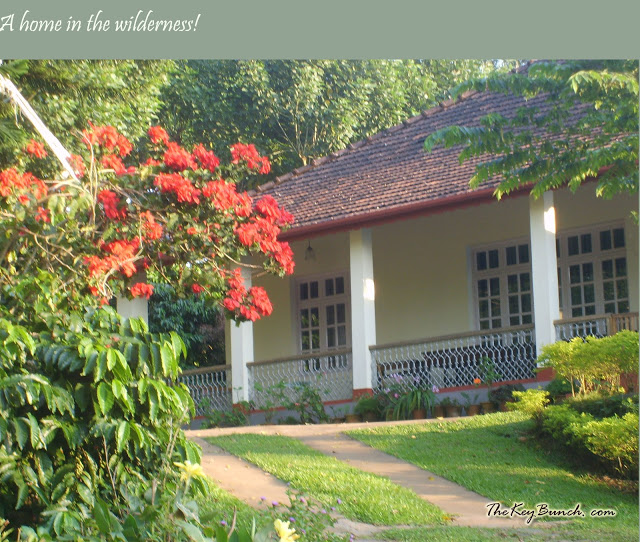 The picturesque on a coffee estate in the Western Ghats - the house, garden, pets, and the flora