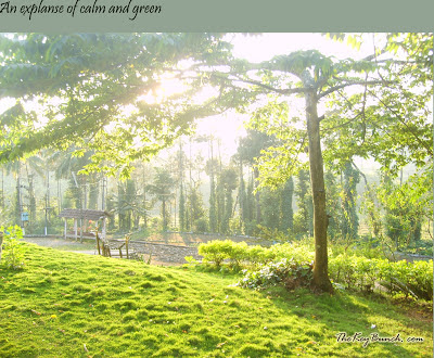 The picturesque on a coffee estate in the Western Ghats - the house, garden, pets, and the flora