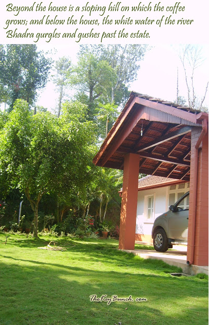 The picturesque on a coffee estate in the Western Ghats - the house, garden, pets, and the flora