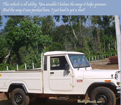 The picturesque on a coffee estate in the Western Ghats - the house, garden, pets, and the flora