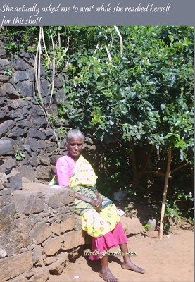 The picturesque on a coffee estate in the Western Ghats - the house, garden, pets, and the flora