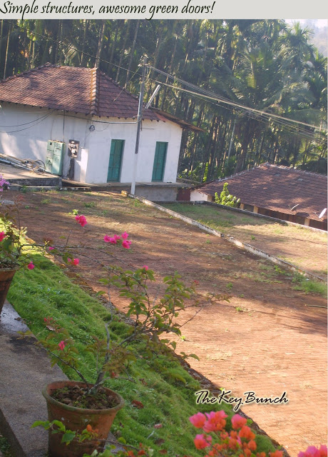 The picturesque on a coffee estate in the Western Ghats - the house, garden, pets, and the flora