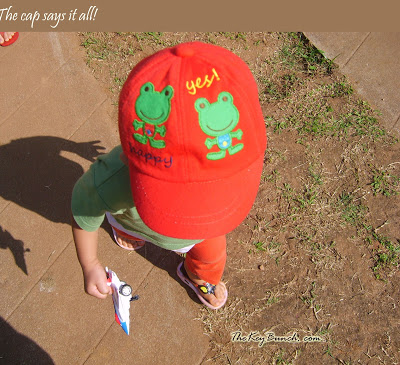 The picturesque on a coffee estate in the Western Ghats - the house, garden, pets, and the flora