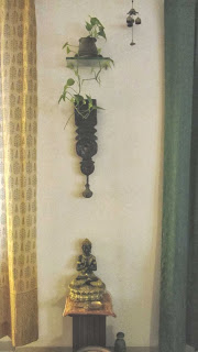 buddha and a money plant buddha and a money plant
