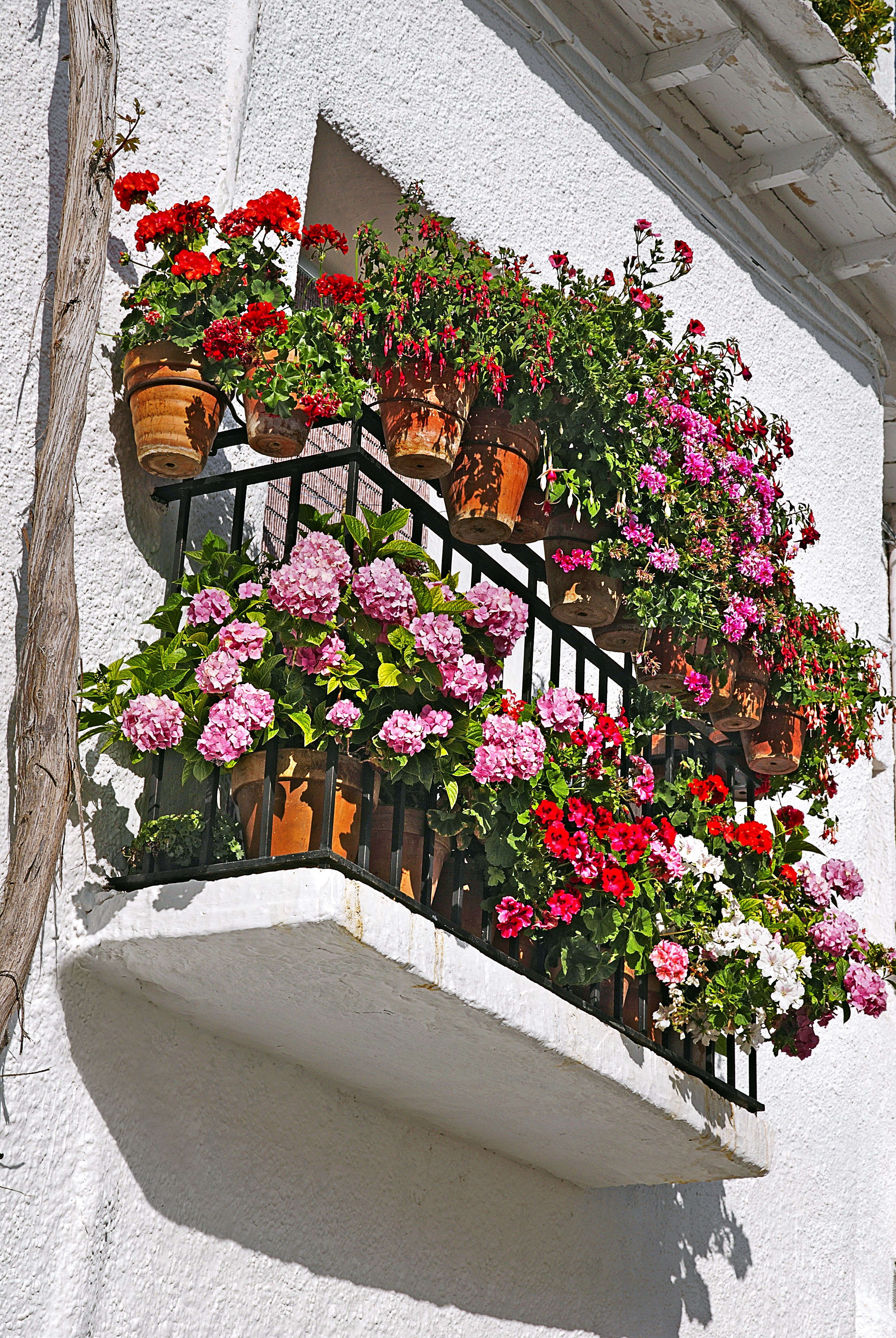 Flower pots on balcony