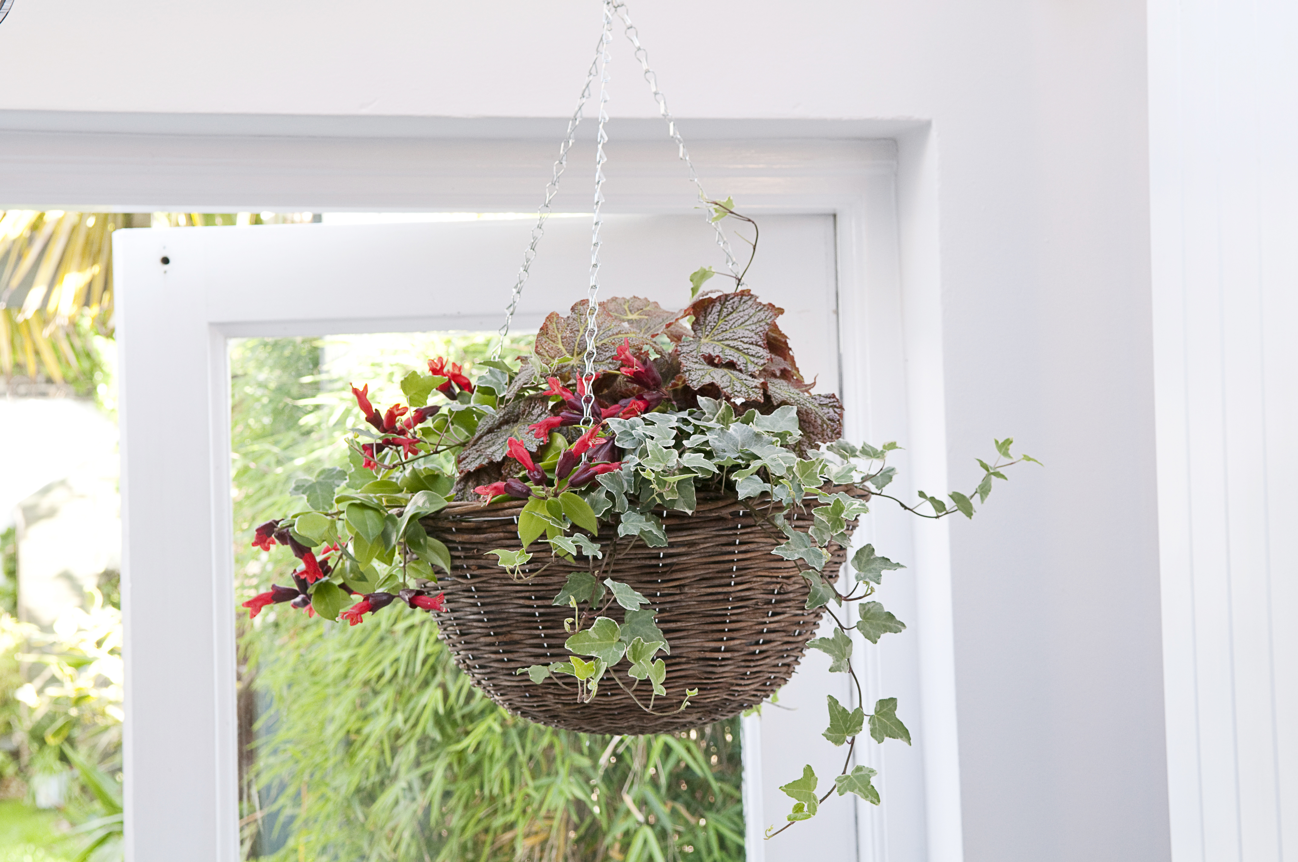 Hanging basket in doorway in house