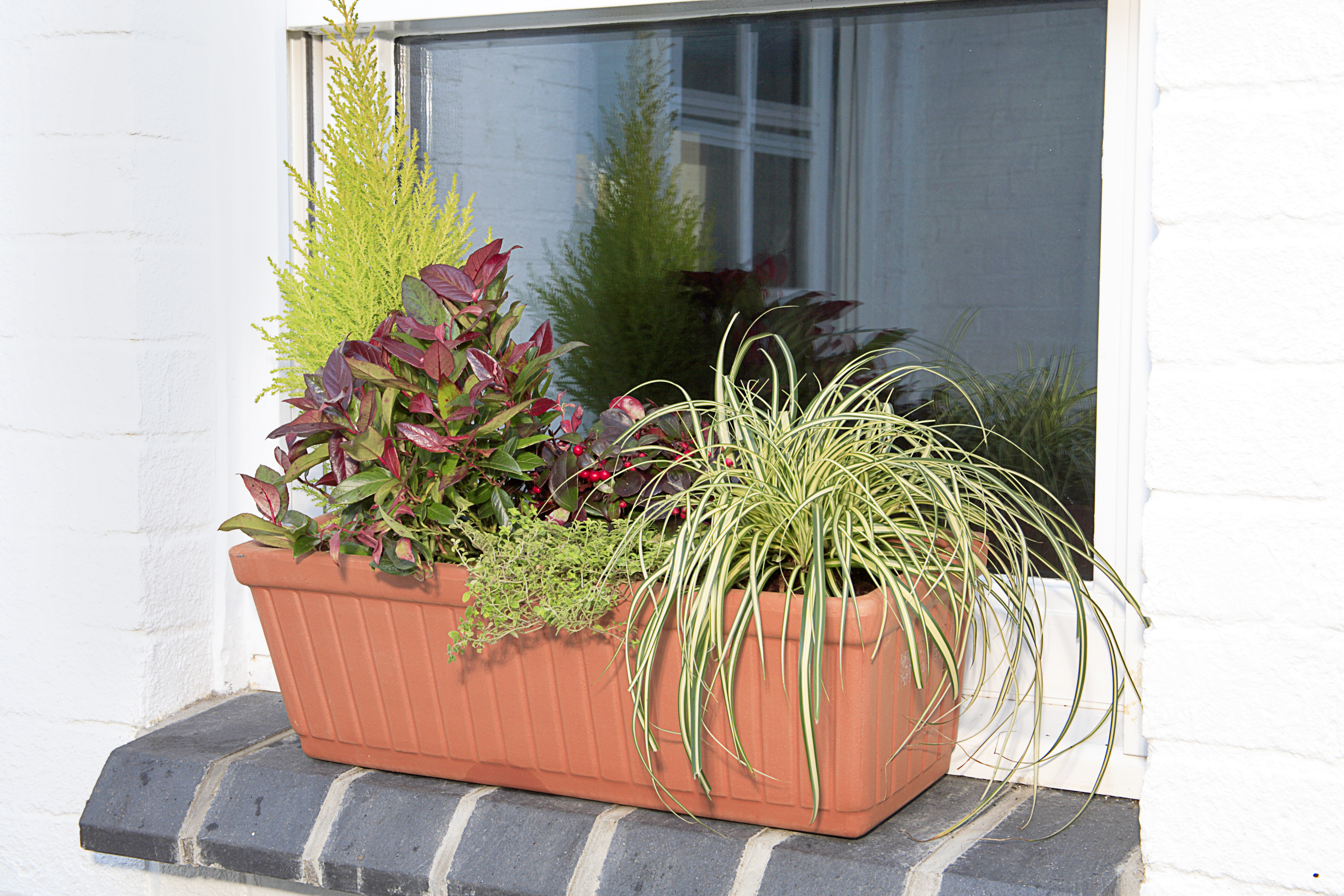 Window box on window ledge