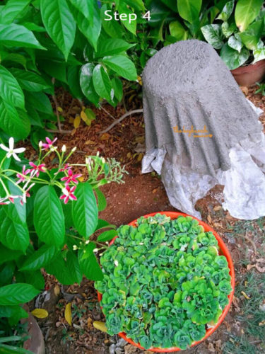 hypertufa planter, tutorial, akila, gardening project, diy, spider plant