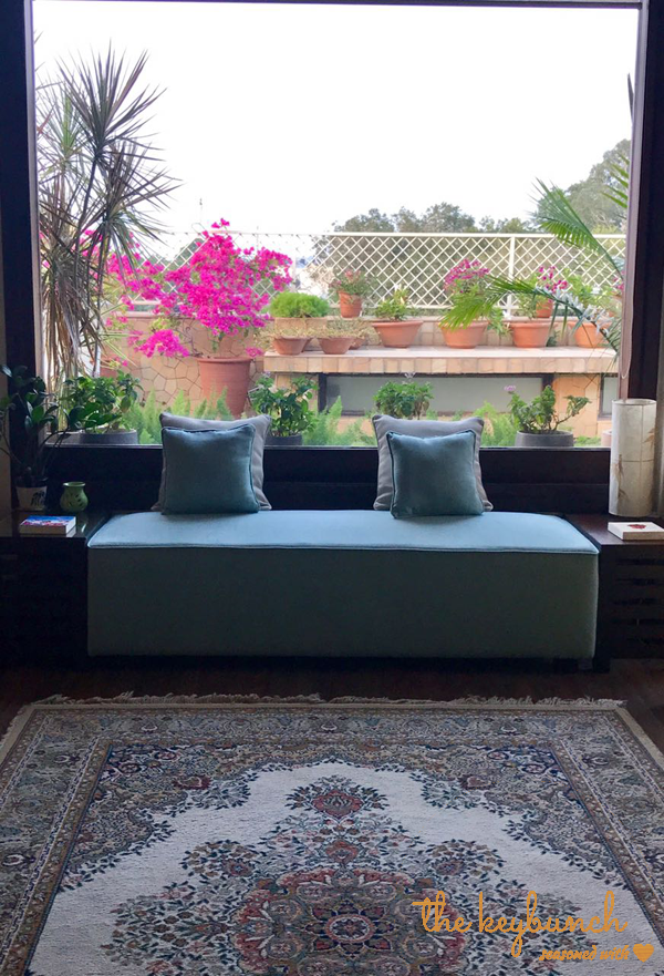 Garden space view from window
