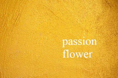 Passion Flower - Asian Paint colour 2018