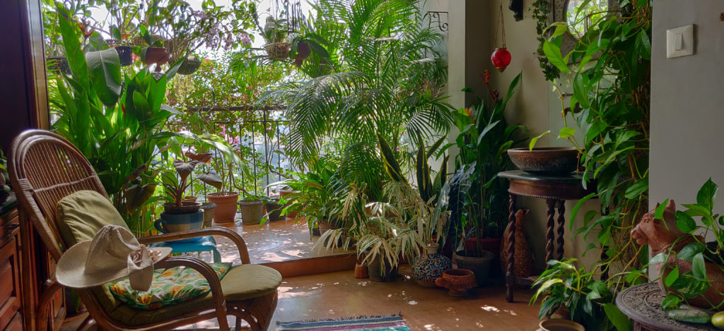 Jayashree Rajan's garden apartment tour on The Keybunch: cane chair in balcony area
