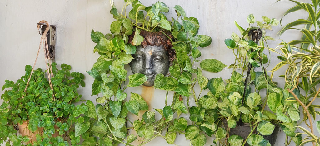 Jayashree Rajan's garden apartment tour on The Keybunch: the charming cherub surrounded by green plants