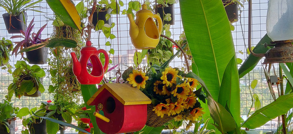 Jayashree Rajan's garden apartment tour on The Keybunch: the pergola with hanging planters and sunflowers