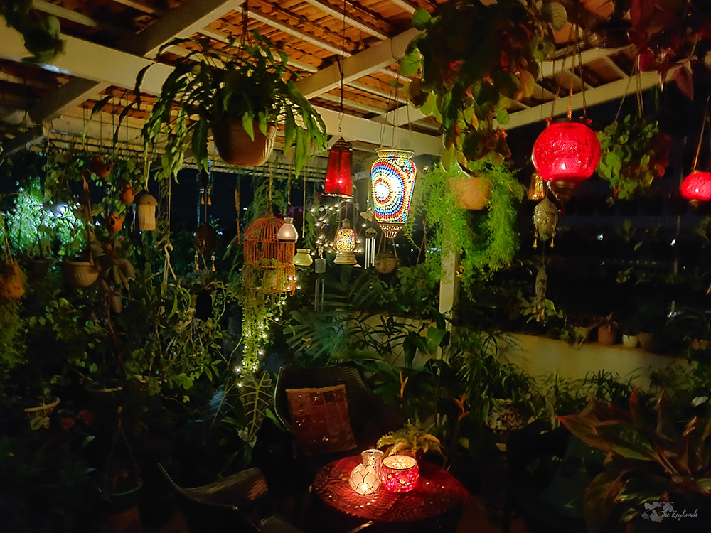 Jayashree Rajan's garden apartment tour on The Keybunch: The pergola at night