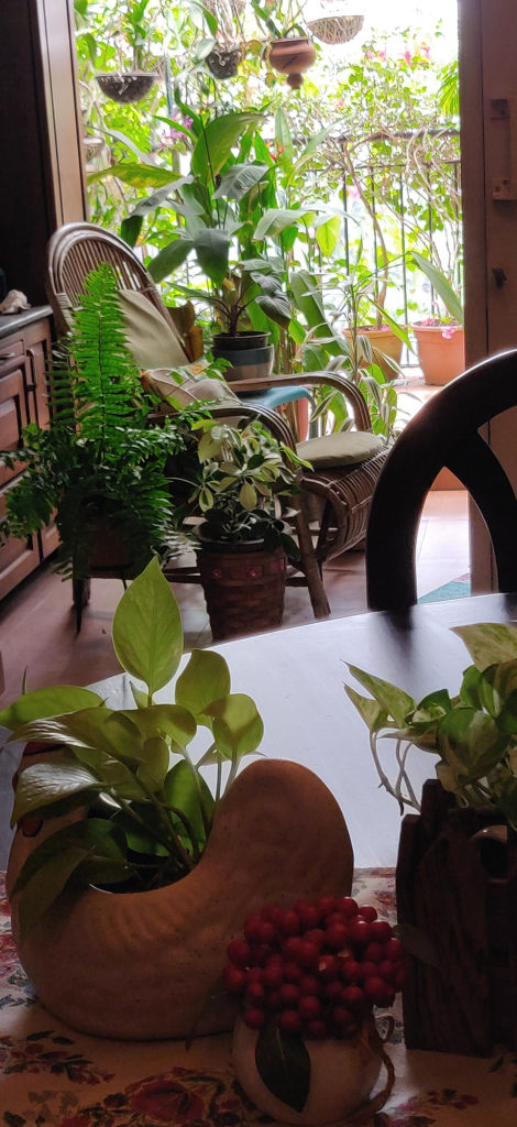 Jayashree Rajan's garden apartment tour on The Keybunch: rattan chain in the balcony area