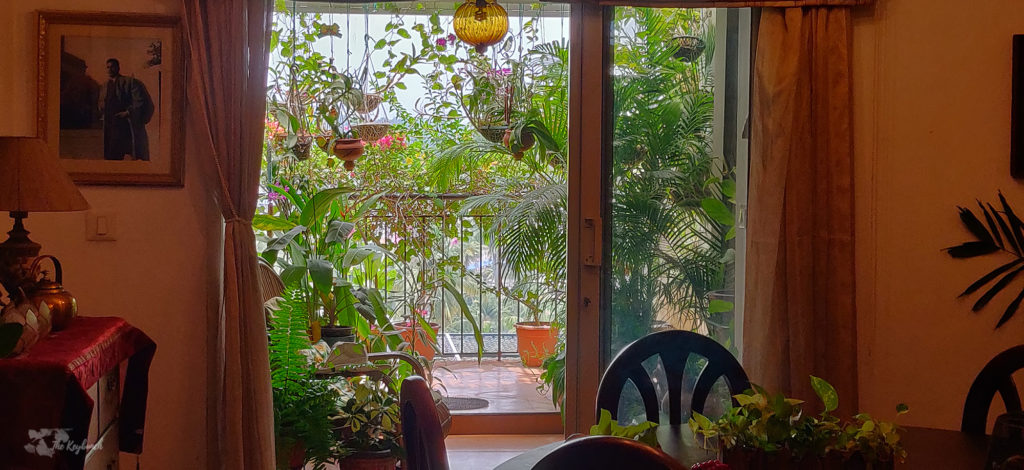 Jayashree Rajan's garden apartment tour on The Keybunch: balcony in the dining area