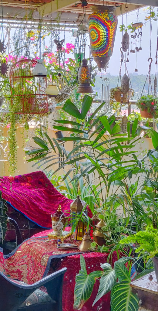 Jayashree Rajan's garden apartment tour on The Keybunch: Pergola plants