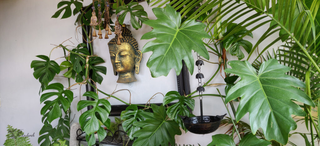 Jayashree Rajan's garden apartment tour on The Keybunch: buddha balcony