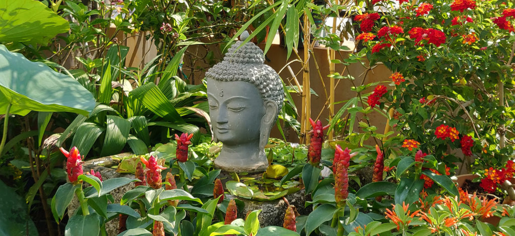 Jayashree Rajan's garden apartment tour on The Keybunch: buddha statue surrounded by plants