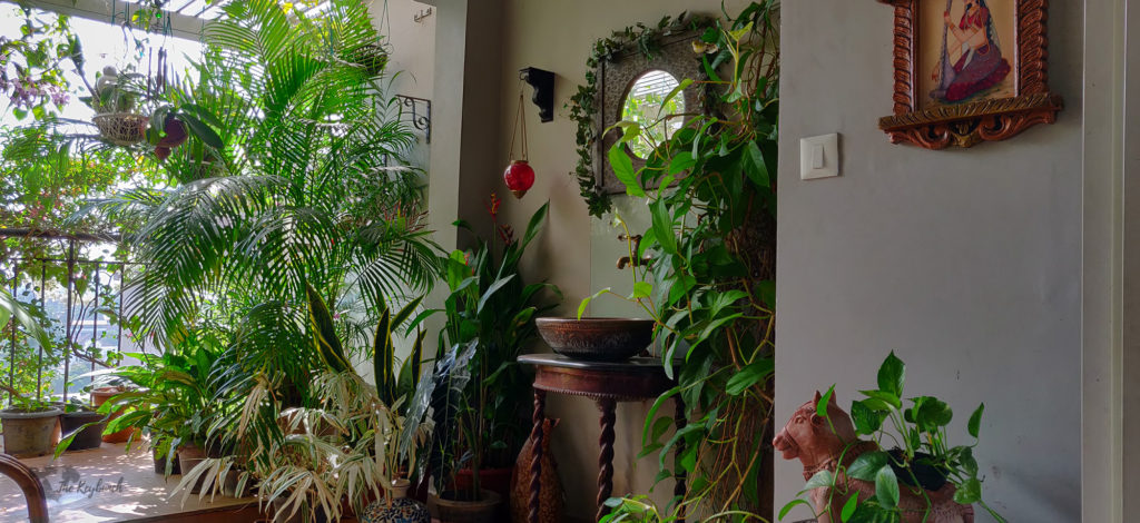 Jayashree Rajan's garden apartment tour on The Keybunch: green balcony