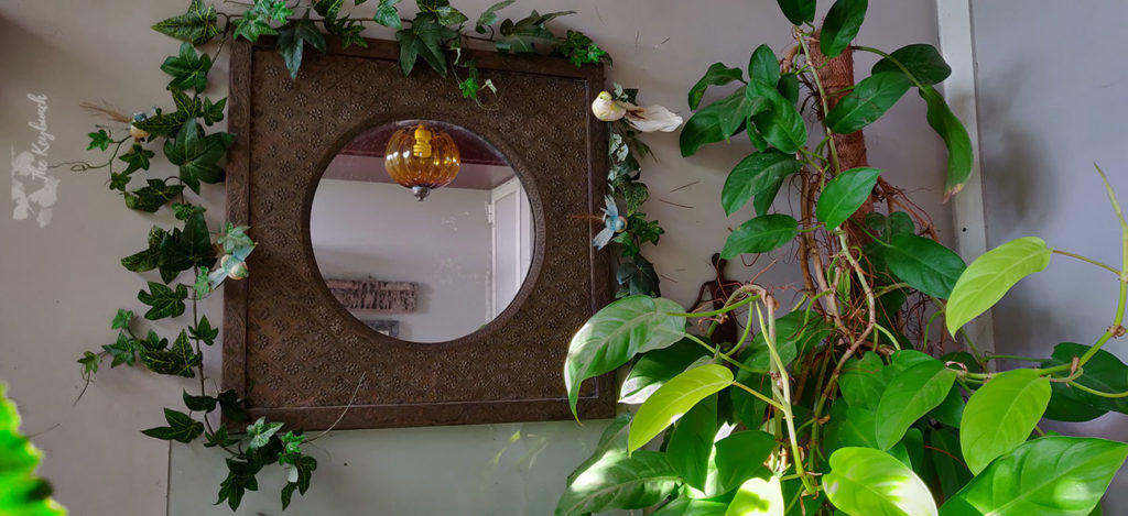 Jayashree Rajan's garden apartment tour on The Keybunch: a delightful mirror in green balcony