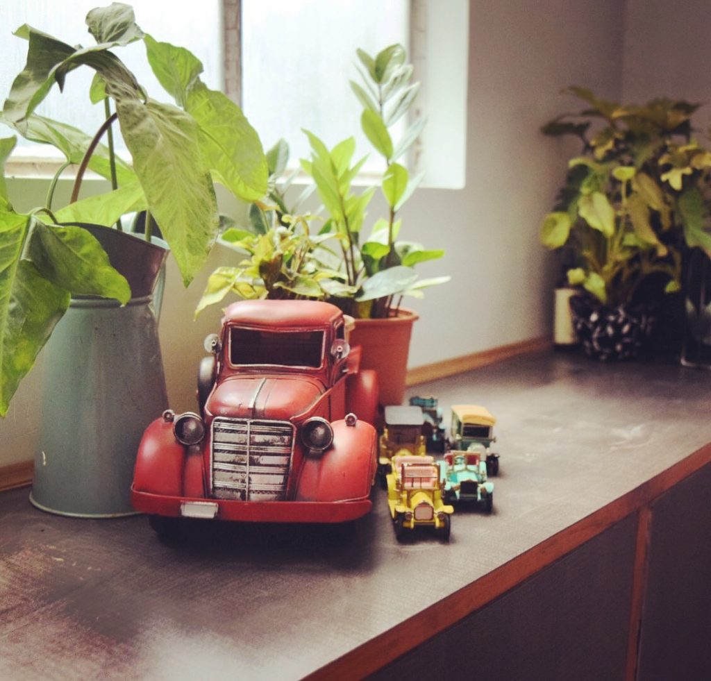 Home decor Tour by Ankita and Sitanshu’s in Lucknow - vintage miniature toy cars with green plants