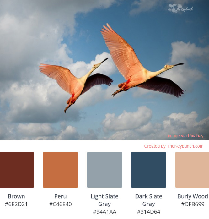 A living coral sunset color palette