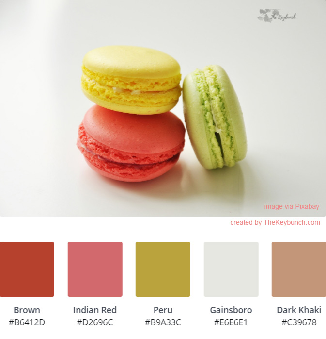 Macaroon are decorated beautifully with color palette