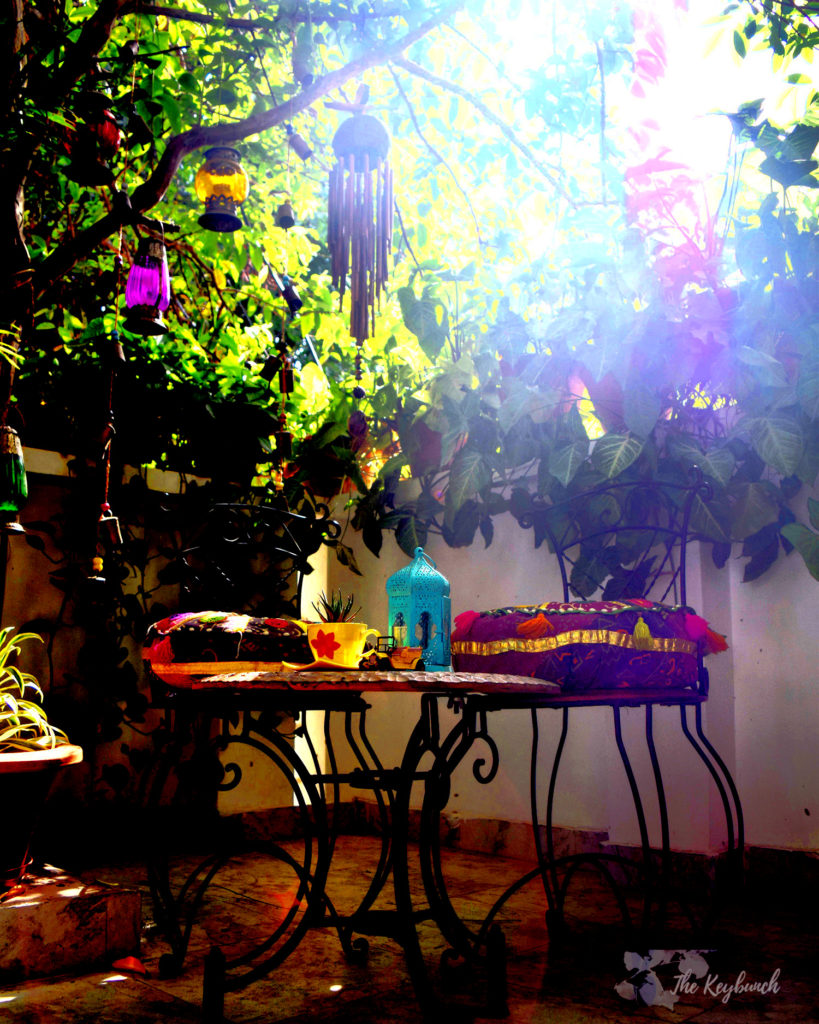 Home decor Tour by Ankita and Sitanshu’s in Lucknow - A green balcony garden